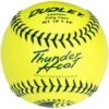 Dudley 12" USSSA WT 12 Thunder Heat Fastpitch Softballs (Dozen): 4U147Y -SLUGGER Sales Store 4U147Y