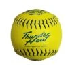 Dudley 12" ZN12 Thunder Heat USSSA Fastpitch Softballs (Dozen): 4U148Y -SLUGGER Sales Store 4u148y x700 4133b8c1 44a5 43be 9561 f5453ae47565