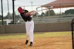 Marucci CAT 7 Silver (-8) USSSA Baseball Bat: MSBC728S -SLUGGER Sales Store CAT7Silver 8